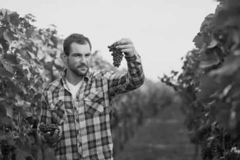 Wine-growers